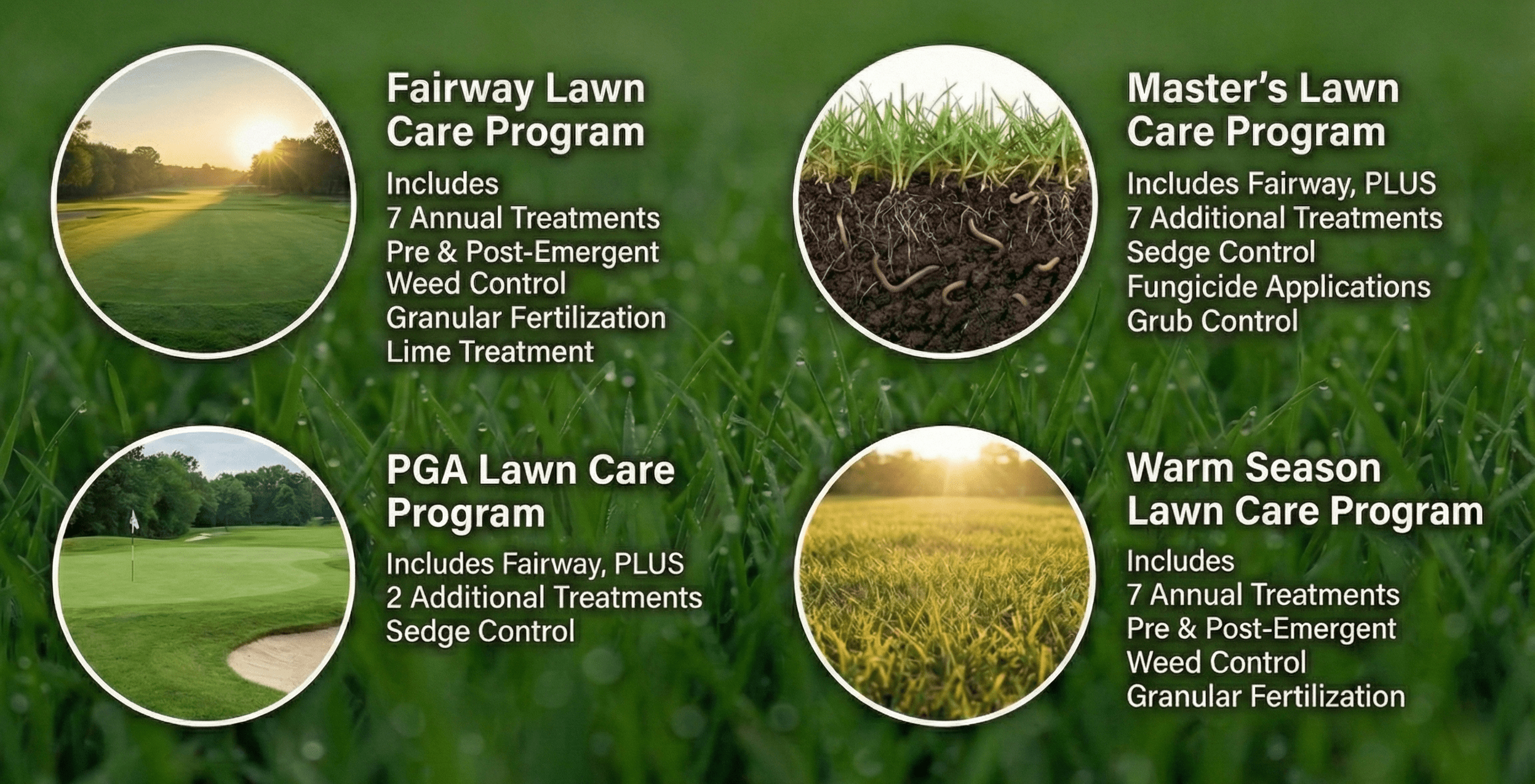 an image highlighting different packages offered by ALM