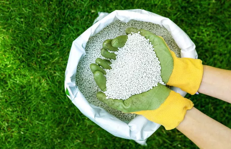 Hands holding fertilizer