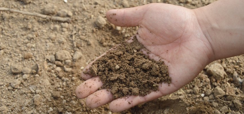 A Hand Running Through Clay-heavy Soil