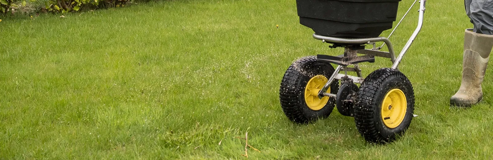 a seeding service in progress