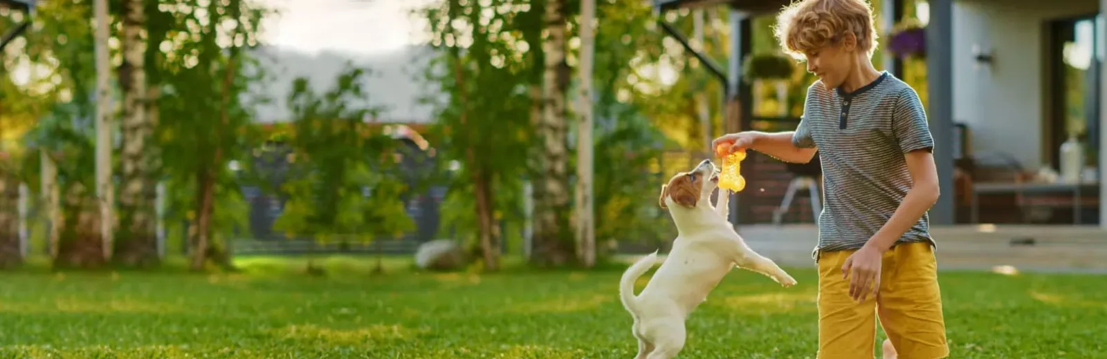 Kid playing with dog