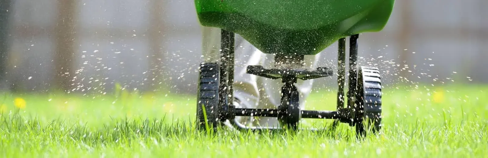 Lawn Seeding in VA | 100% Satisfaction Guaranteed | ALM