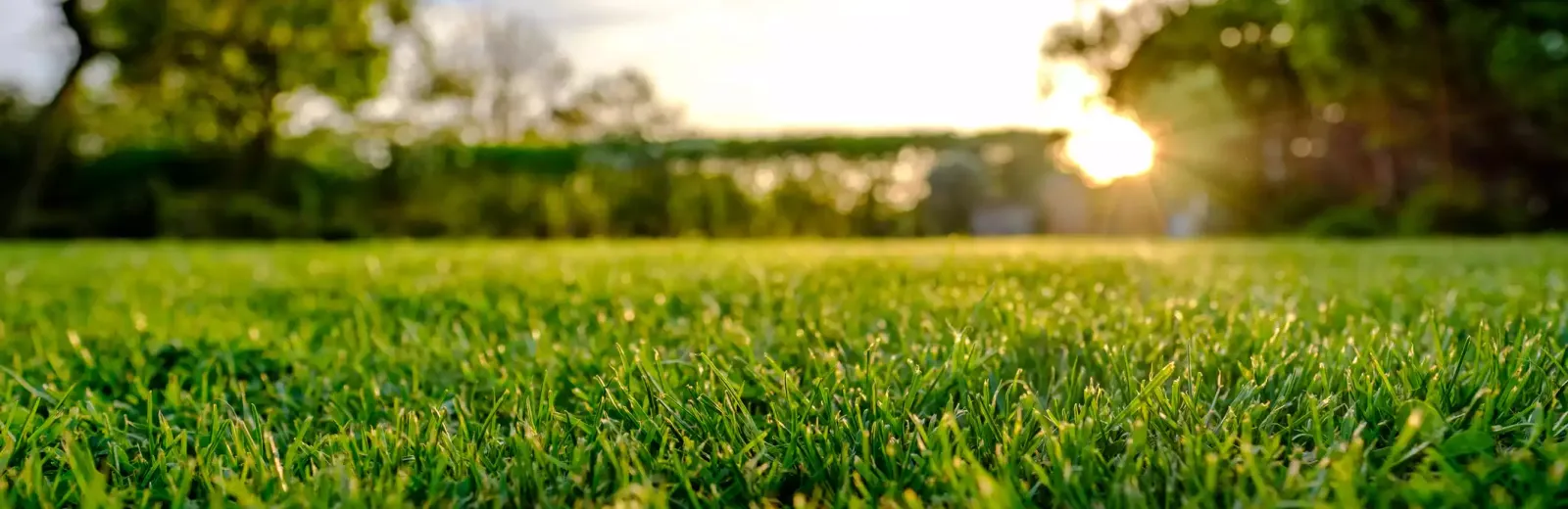 sunset-lawn-landscape