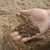 hand testing soil