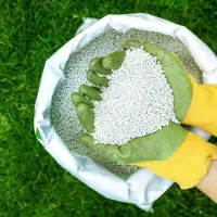 Hands holding fertilizer