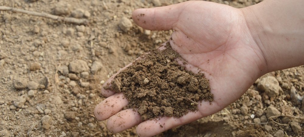 hand testing soil