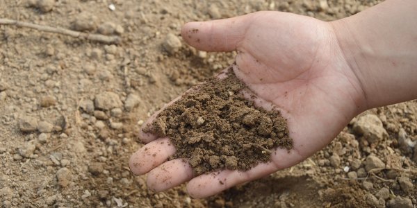 hand testing soil
