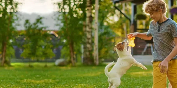 Kid playing with dog