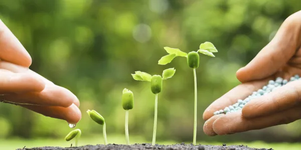 seed-fertilizer