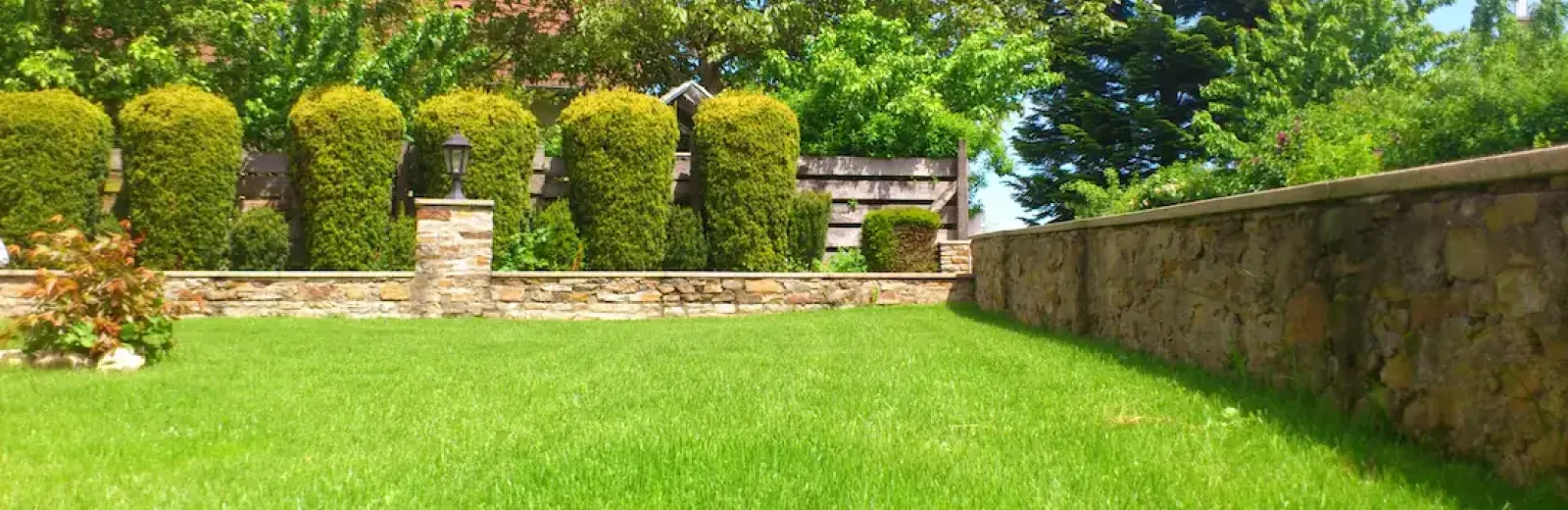 pest free lawn